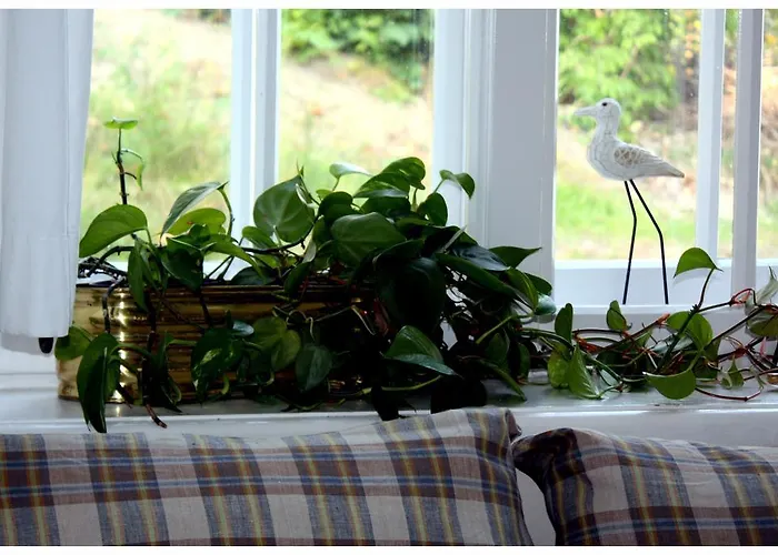 Ludwinia Bed & Breakfast 3*